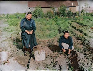 Tanya Dumesh's garden in Vishki. Julya (on the right) and Tanya digging potatoes.